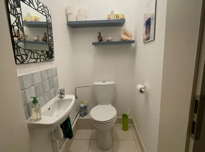 Les Myrtilles * Thann